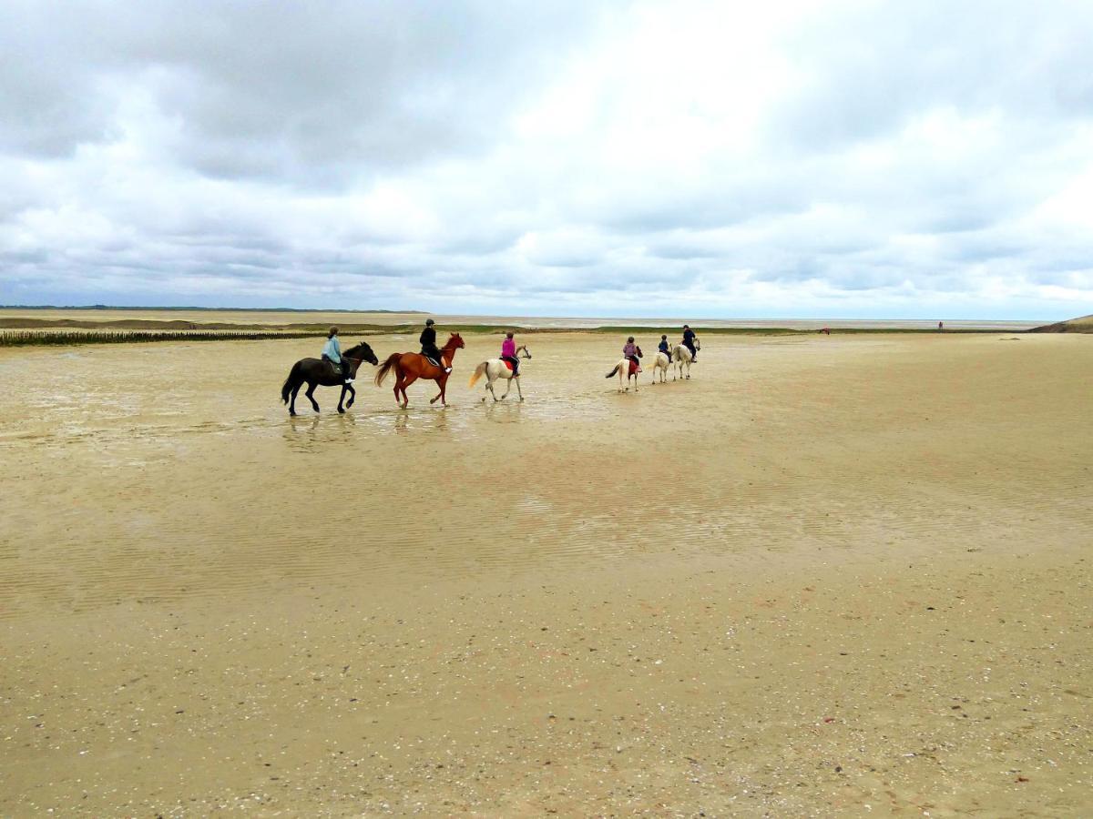 Maison Proche Des Immenses Plages De Berck Sur Mer A 1,8Km Des Plages Exterior photo